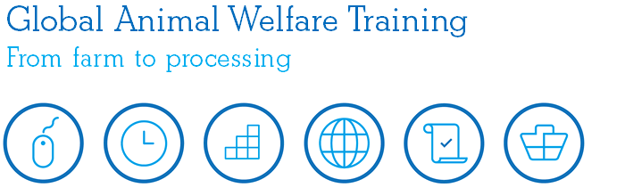 Global Animal Welfare Training - From farm to processing